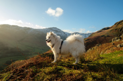 7f9d9105-5820-4a62-8582-215f7686ae2b