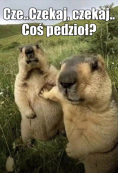 da24dcff-0d7f-48f7-9f4a-1d7ba6fedf3b