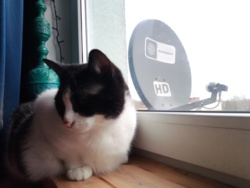 b9b18a1a-b93d-469d-949a-02334665decc