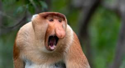 8400548c-0288-4893-98c8-120d0cedce51