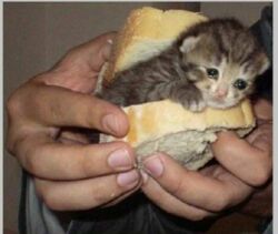 1e6c5a7f-25e7-4646-aaa9-c3a2bbb762f8