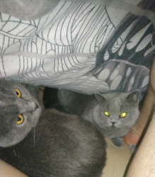 0bbb5949-f643-4240-b63c-cdda20c1a645