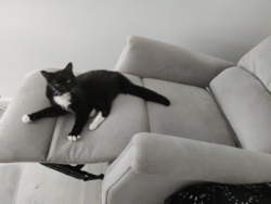 58268105-8623-4965-8c70-5c9efd4d9ba1