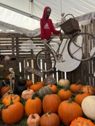 902f2d71-2dad-4df1-874e-8cd378e71c63