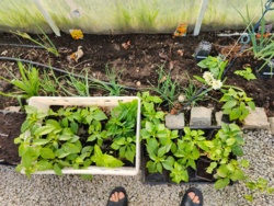 0bbeba06-bd08-4020-9961-d48ed434e247