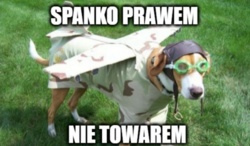 ff920d32-1b6b-4b9b-acb3-d05a006a5723