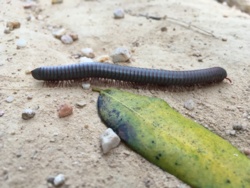 862389c9-0180-484e-b6e2-2b64ae74ce84