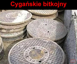 3ed5a984-96f4-4bcf-8bc4-df72dc3cff2c