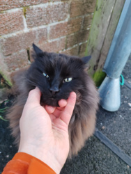 6efd52c0-32d1-4eca-907c-240131ecf217