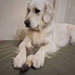 1daddc65-e0f5-42ab-a469-1d8ab414d596