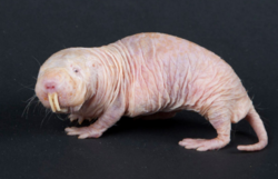 8555daa4-da2d-4b16-a309-33980835c36e