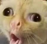 551947d9-02cd-46ea-94dd-84d3fcc47cd1