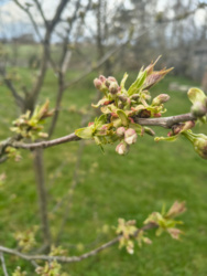 0418930e-b30f-40d7-8aaf-167505f5aaf0