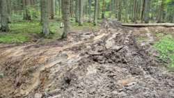 846249b3-3a17-4b1a-a694-3651b5ee54e0