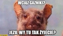 8171b1bc-cf00-4cee-929b-3e7d577cf34e