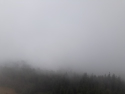 677c9d79-e3f8-4482-964d-71c1121d86b9