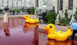 ccc85ef2-9450-4d99-8646-121a61ad10ec