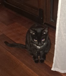 a9ffaf02-9eb4-490d-9e58-88c444eb9c93