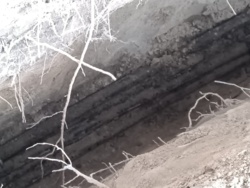 3b934646-bcf9-45a0-b2b0-fb03a8a2c54a