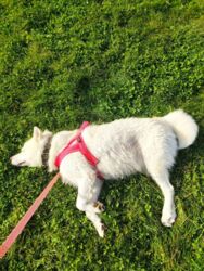 f155a308-5bb1-4820-ab70-4bbc36659347