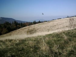 88239f88-d2e1-4ce4-9a21-ec2de27ee3d8