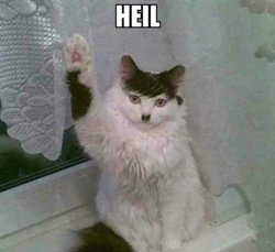 499ffbe9-ef43-4e05-9c1f-e08712a7f11f