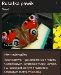 36ce3b3b-2076-4166-ad18-f723d2bc827f