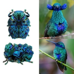 9a1a5312-94cd-4cd8-9fb6-5aad901c1c0c