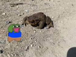 09443131-3764-4422-b6ef-615d82fa4a30