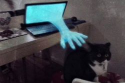 5c5dde98-9df1-4c5e-8362-a0ce600c1fe6