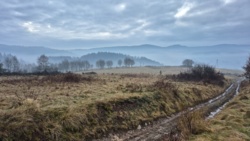 240098e9-46cc-46f7-bb73-34cad93e79ea