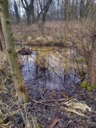 86900dc5-8faf-487a-8d18-dc8c825ad968