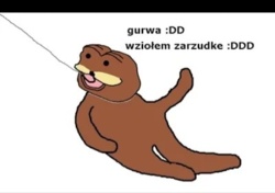 b64c0186-0e4a-40a9-9d8f-4991f59bf0a2