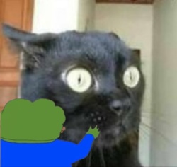 876fbbdc-82ce-496f-beaa-629bde2d3640