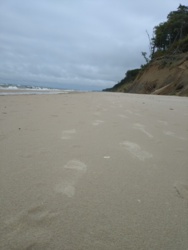 feea7c91-f480-43f8-a223-7b3384ea0382