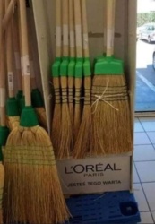 1aae17ff-b1aa-41c8-932b-12b45d5abdae