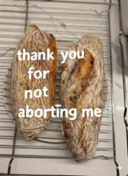 79bfdc19-16ab-4d89-a19a-554de6011585