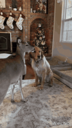 a32f1b3a-9682-4483-a1bc-4f519b1cf2ae