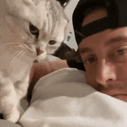 68424fd9-a139-46cd-8fa8-a32db8d6de31