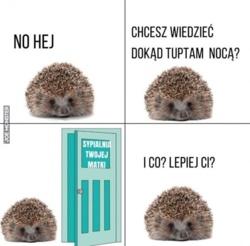 2b9dd745-f8e4-4395-91d3-5eacc703ac08