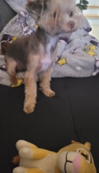 4e5a3ee2-b3c6-4266-8e74-105cbba1a46d