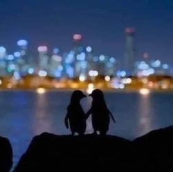 9a8fcb42-17ab-41a3-bf82-f7dfdf528090