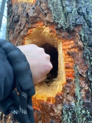 2288b1be-1452-455d-b3b4-0afb41b4c4be