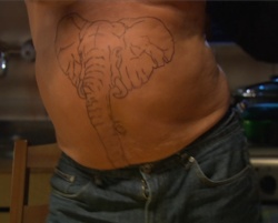 8645bdd6-d5ea-4bc3-9b84-96288b80f471