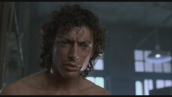 db7e4afd-ac91-43be-aab6-63b80f9d346e