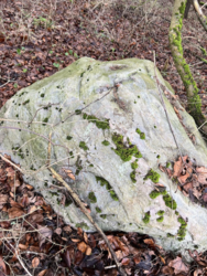 3243e13b-f156-49c6-bbea-028c03bcdcae