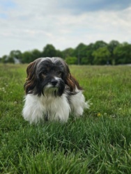 ccb5ea3c-9a34-470f-a1e5-625321c2df43