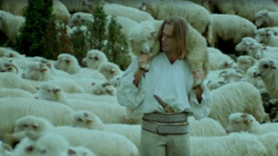 13be8bd0-e3d1-49e7-8d43-9eda6939d076