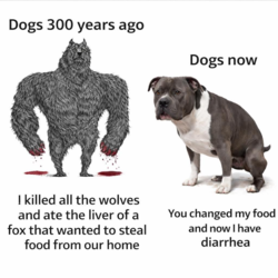 5d3c241e-65c7-4604-8d09-8c69e3d111e3