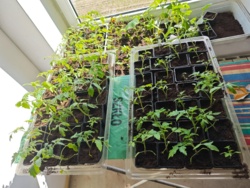 58223e5d-803d-4189-9d59-13a766bf2ea7